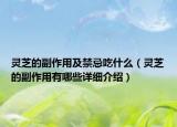 靈芝的副作用及禁忌吃什么（靈芝的副作用有哪些詳細(xì)介紹）
