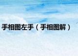 手相圖左手（手相圖解）