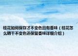 桂花如何保存才不變色且有香味（桂花怎么曬干不變色還保留香味詳細(xì)介紹）