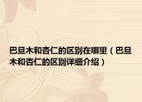 巴旦木和杏仁的區(qū)別在哪里（巴旦木和杏仁的區(qū)別詳細(xì)介紹）