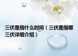 三伏是指什么時(shí)間（三伏是指哪三伏詳細(xì)介紹）