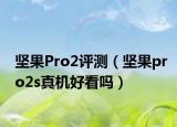 堅果Pro2評測（堅果pro2s真機(jī)好看嗎）