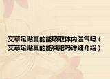 艾草足貼真的能吸取體內(nèi)濕氣嗎（艾草足貼真的能減肥嗎詳細(xì)介紹）
