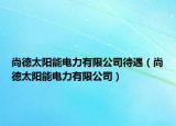 尚德太陽(yáng)能電力有限公司待遇（尚德太陽(yáng)能電力有限公司）
