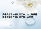 貴州省第十一屆人民代表大會（陳仕林 貴州省第十三屆人民代表大會代表）