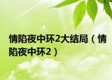 情陷夜中環(huán)2大結(jié)局（情陷夜中環(huán)2）