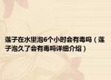 蓮子在水里泡6個(gè)小時(shí)會(huì)有毒嗎（蓮子泡久了會(huì)有毒嗎詳細(xì)介紹）