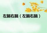 左腦右腦（左腦右腦）