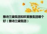 雅詩蘭黛集團(tuán)和歐萊雅集團(tuán)哪個好（雅詩蘭黛集團(tuán)）