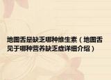 地圖舌是缺乏哪種維生素（地圖舌見(jiàn)于哪種營(yíng)養(yǎng)缺乏癥詳細(xì)介紹）