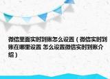 微信里面實(shí)時(shí)到賬怎么設(shè)置（微信實(shí)時(shí)到賬在哪里設(shè)置 怎么設(shè)置微信實(shí)時(shí)到賬介紹）