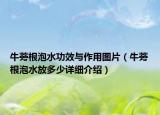 牛蒡根泡水功效與作用圖片（牛蒡根泡水放多少詳細介紹）