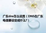 廣東dns怎么設(shè)置（DNS在廣東電信要設(shè)定成什么?）