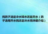 燉鴿子湯是冷水焯水還是開水（鴿子湯用開水燉還是冷水燉詳細(xì)介紹）