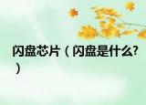 閃盤芯片（閃盤是什么?）