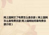 網(wǎng)上國(guó)網(wǎng)交了電費(fèi)怎么查余額（網(wǎng)上國(guó)網(wǎng)怎么查電費(fèi)余額 網(wǎng)上國(guó)網(wǎng)如何查電費(fèi)余額介紹）