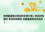 池州旅游景點杏花村全景介紹（杏花村風(fēng)景區(qū) 杏花村風(fēng)景區(qū) 安徽省池州市杏花村）