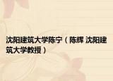 沈陽(yáng)建筑大學(xué)陳寧（陳輝 沈陽(yáng)建筑大學(xué)教授）
