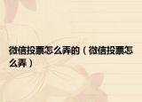 微信投票怎么弄的（微信投票怎么弄）
