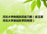 河北大學附屬醫(yī)院崔乃鵬（崔玉英 河北大學基礎醫(yī)學院教授）