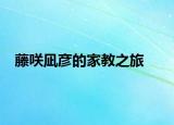 藤咲凪彥的家教之旅