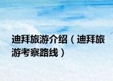 迪拜旅游介紹（迪拜旅游考察路線）