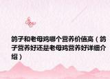 鴿子和老母雞哪個營養(yǎng)價值高（鴿子營養(yǎng)好還是老母雞營養(yǎng)好詳細(xì)介紹）