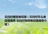 云閃付哪里查征信（云閃付怎么查征信信息 云閃付如何查征信信息介紹）