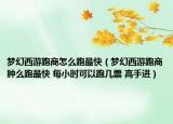 夢幻西游跑商怎么跑最快（夢幻西游跑商腫么跑最快 每小時可以跑幾票 高手進）