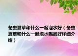冬蟲夏草和什么一起泡水好（冬蟲夏草和什么一起泡水喝最好詳細介紹）