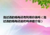 泡過(guò)酒的楊梅還有利用價(jià)值嗎（泡過(guò)酒的楊梅還能吃嗎詳細(xì)介紹）