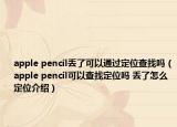 apple pencil丟了可以通過定位查找嗎（apple pencil可以查找定位嗎 丟了怎么定位介紹）