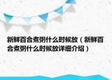 新鮮百合煮粥什么時候放（新鮮百合煮粥什么時候放詳細介紹）