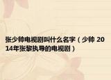 張少帥電視劇叫什么名字（少帥 2014年張黎執(zhí)導(dǎo)的電視?。? /></span></a>
                        <h2><a  title=
