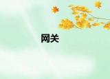 網(wǎng)關(guān)
