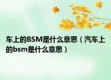 車上的BSM是什么意思（汽車上的bsm是什么意思）