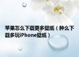 蘋果怎么下載更多壁紙（腫么下載多玩iPhone壁紙）