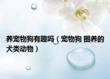 養(yǎng)寵物狗有趣嗎（寵物狗 圈養(yǎng)的犬類動(dòng)物）