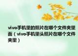 vivo手機(jī)里的照片在哪個(gè)文件夾里面（vivo手機(jī)里頭照片在哪個(gè)文件夾里）