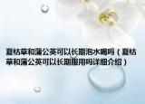 夏枯草和蒲公英可以長期泡水喝嗎（夏枯草和蒲公英可以長期服用嗎詳細介紹）