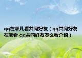 qq在哪兒看共同好友（qq共同好友在哪看 qq共同好友怎么看介紹）