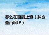怎么在百度上查（腫么查百度IP）