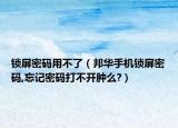 鎖屏密碼用不了（邦華手機(jī)鎖屏密碼,忘記密碼打不開(kāi)腫么?）