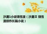 沙漏1小說饒雪漫（沙漏Ⅱ 饒雪漫創(chuàng)作長篇小說）