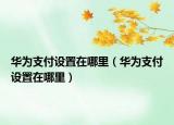 華為支付設(shè)置在哪里（華為支付設(shè)置在哪里）