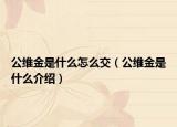 公維金是什么怎么交（公維金是什么介紹）