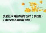 凱迪仕tk1指紋鎖怎么樣（凱迪仕tk1指紋鎖怎么靜音開鎖）