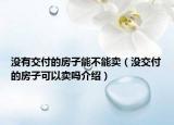 沒有交付的房子能不能賣（沒交付的房子可以賣嗎介紹）