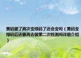黃碼做了兩次變綠碼了還會變嗎（黃碼變綠碼后還要再去做第二次檢測嗎詳細介紹）