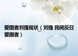 愛國者劉強(qiáng)現(xiàn)狀（劉強(qiáng) 民間反日愛國者）